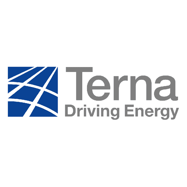 Terna logo